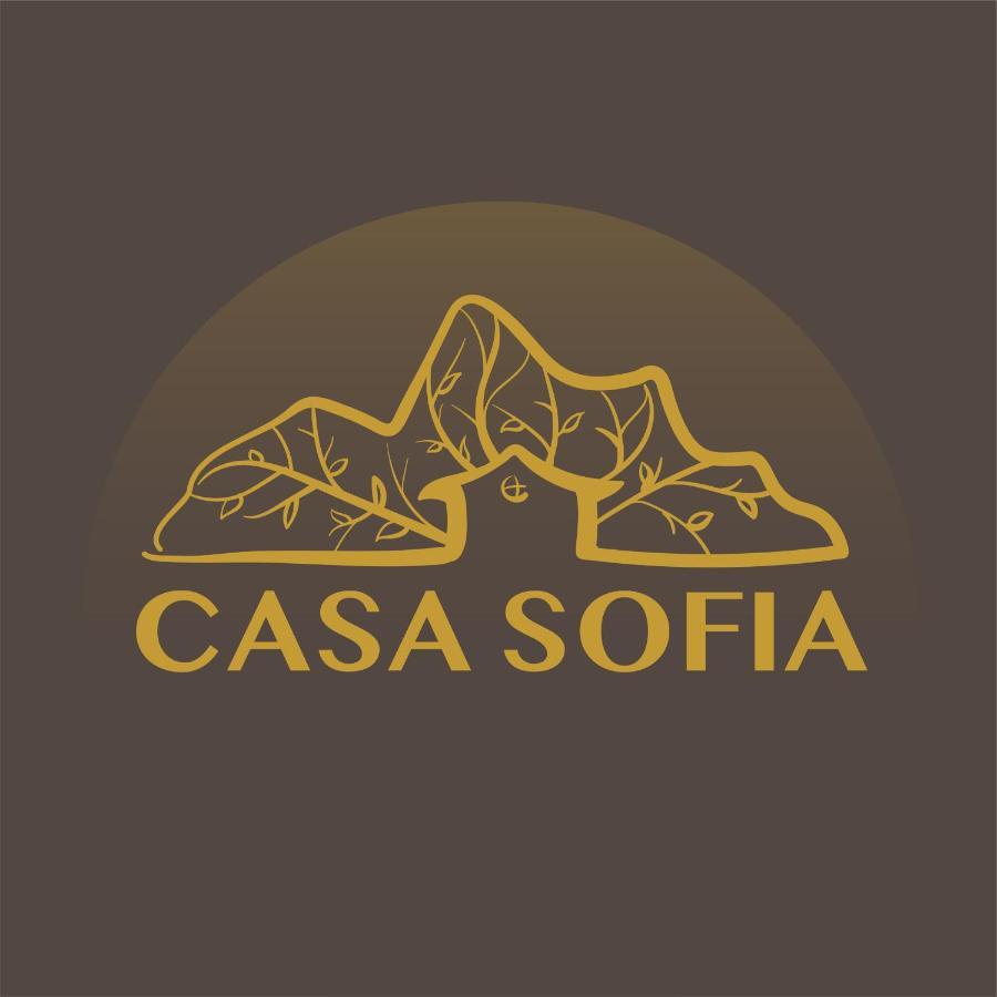 Vila Sofia Haţeg エクステリア 写真
